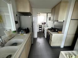 The Parc Condominium (D5), Condominium #480363871